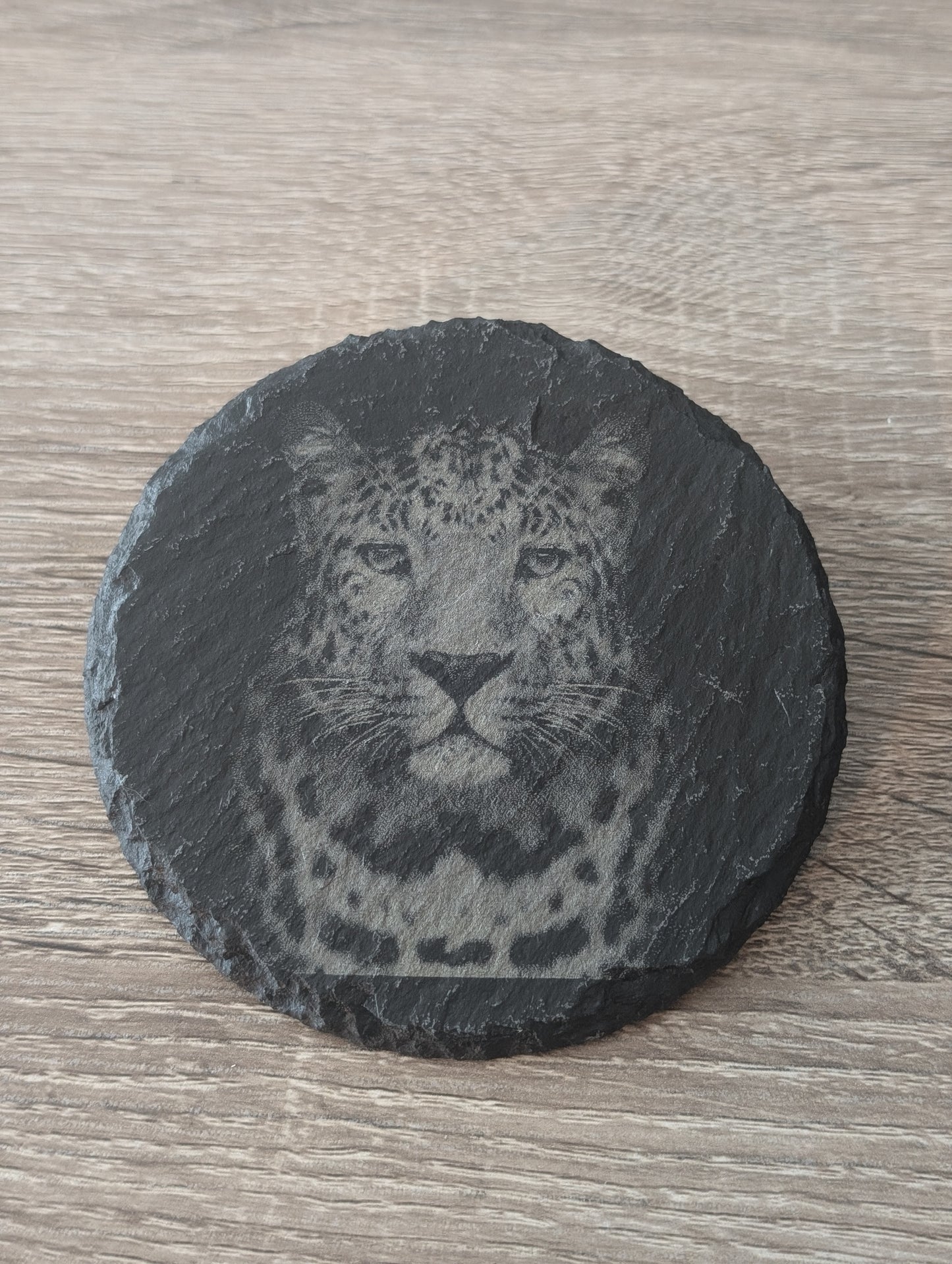 Jaguar Portrait
