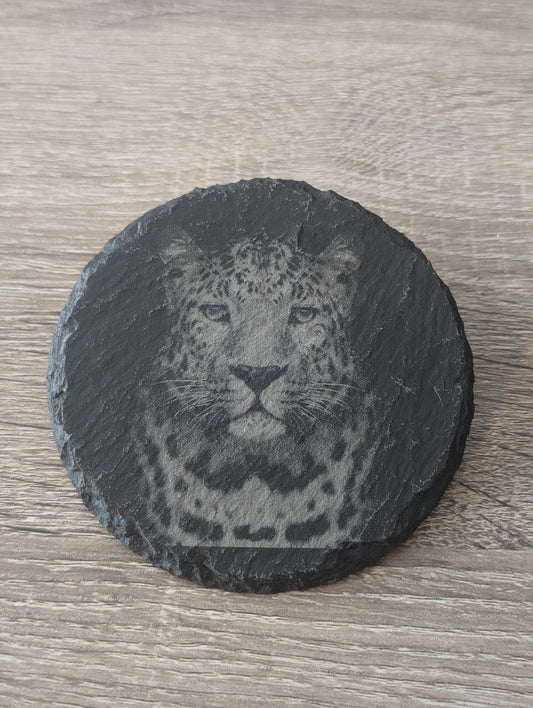 Jaguar Portrait